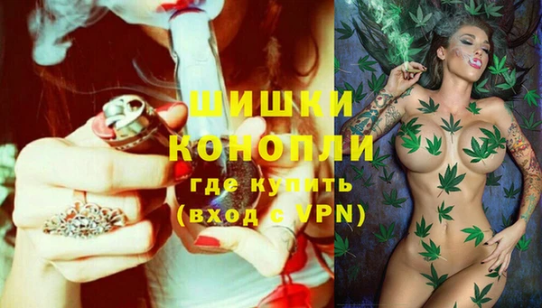 каннабис Новокубанск