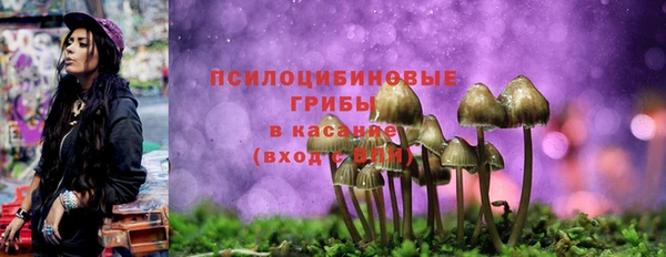 каннабис Новокубанск